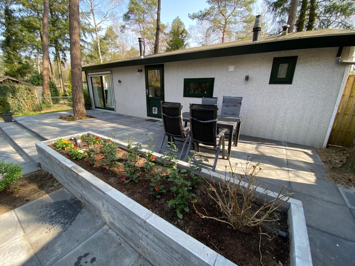 فيلا Doornspijkفي Chalet Dennenvelt المظهر الخارجي الصورة