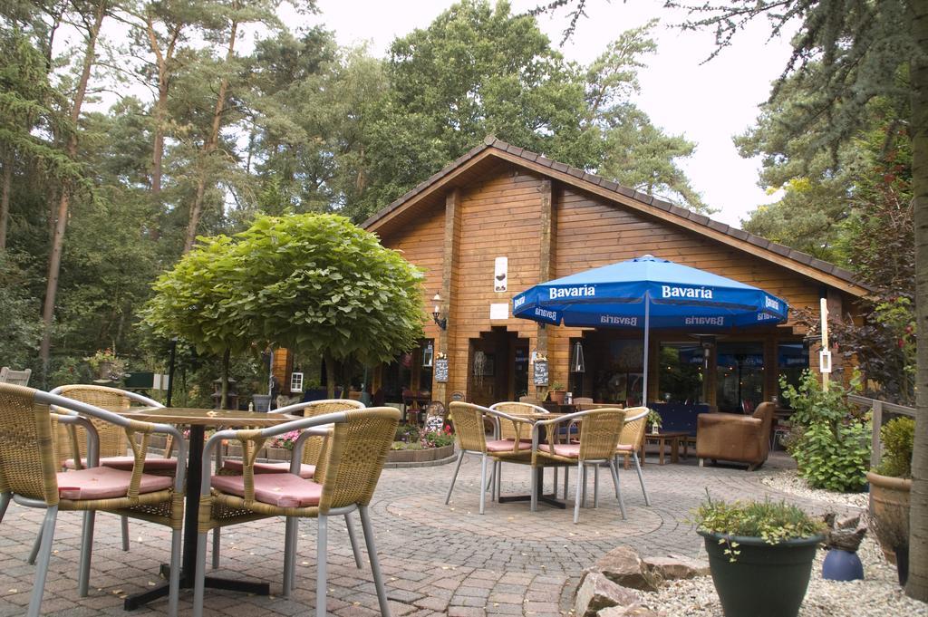 فيلا Doornspijkفي Chalet Dennenvelt المظهر الخارجي الصورة