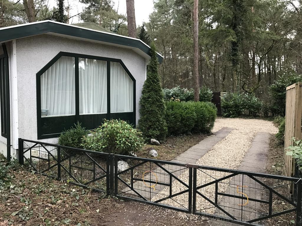 فيلا Doornspijkفي Chalet Dennenvelt المظهر الخارجي الصورة