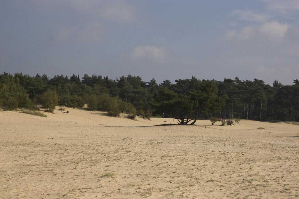 فيلا Doornspijkفي Chalet Dennenvelt المظهر الخارجي الصورة
