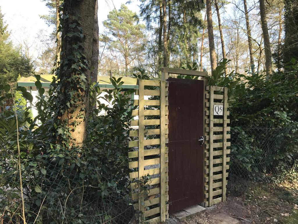 فيلا Doornspijkفي Chalet Dennenvelt المظهر الخارجي الصورة